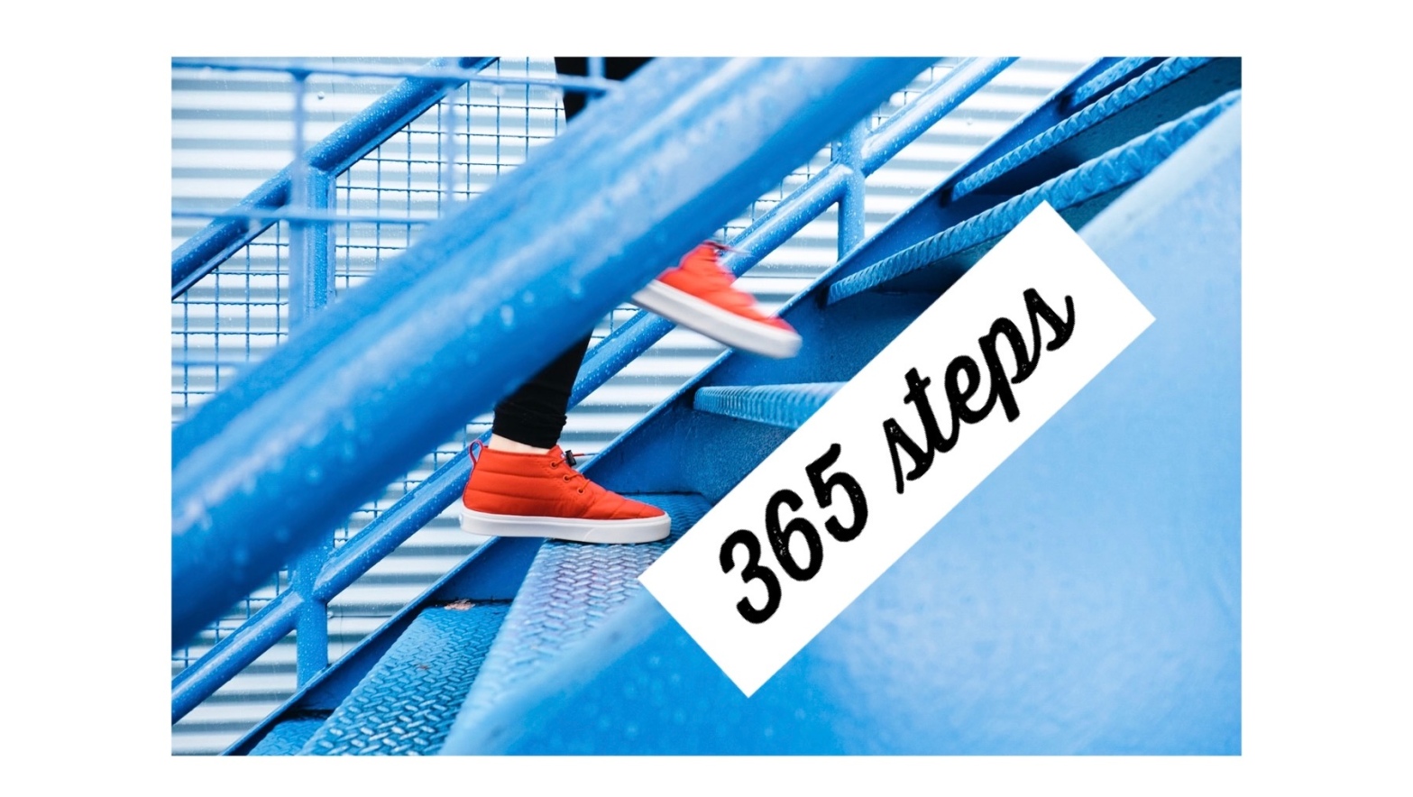 365 steps